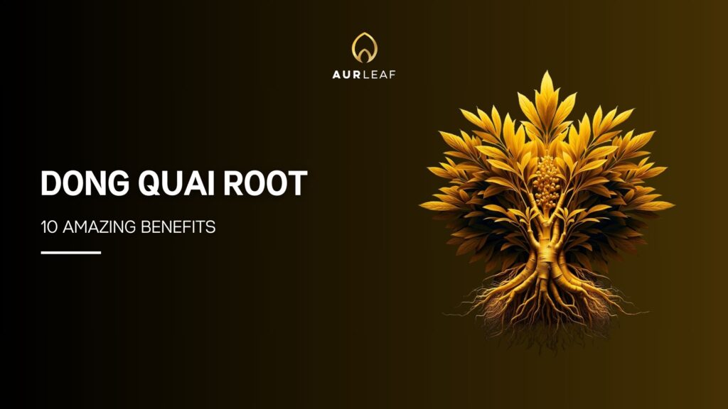 10 Amazing Benefits of Dong Quai Root