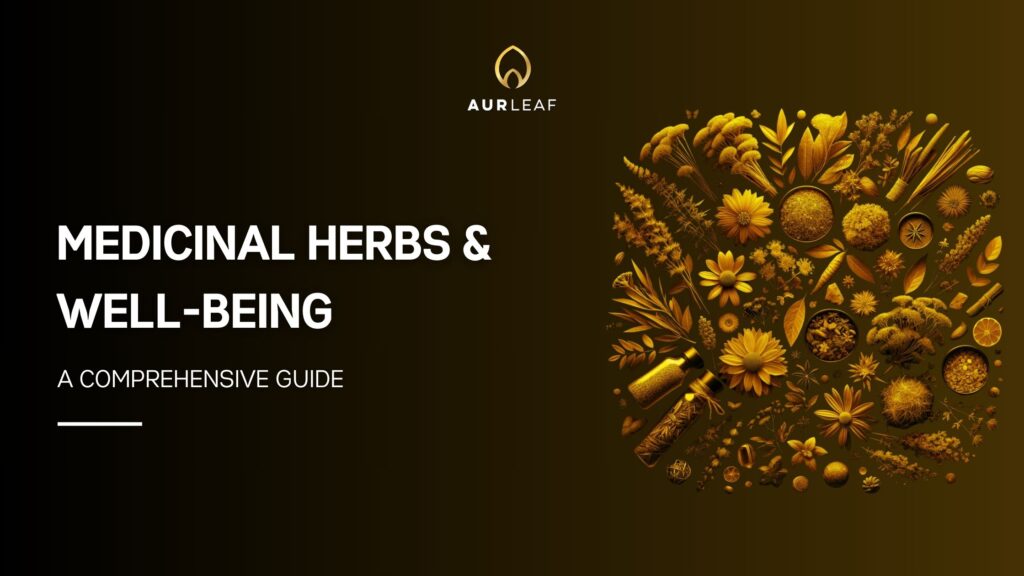 A Comprehensive Guide to Medicinal Herbs and Well-being