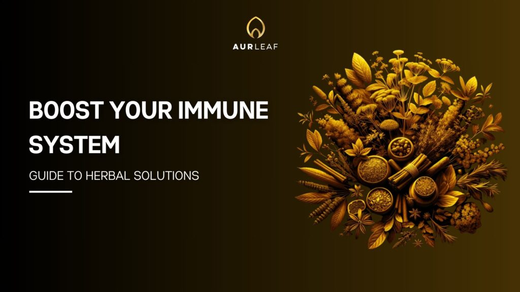 Improve Your Immune System with Herbal Remedies – A Comprehensive Guide
